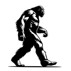 Obraz premium Silhouette of Bigfoot Walking Vector Illustration 