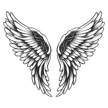 Angel wings woodcut style drawing vector