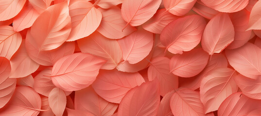 Trendy peach leaf texture - abstract background with apricot leaves