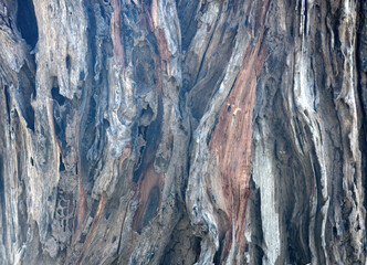 Old tree texture. Bark pattern, For background wood work, Bark of brown hardwood, thick bark hardwood, residential house wood. nature, tree, bark, hardwood, trunk, tree , tree trunk close up texture