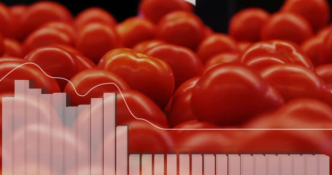 Animation of data processing on diagram over fresh tomatoes