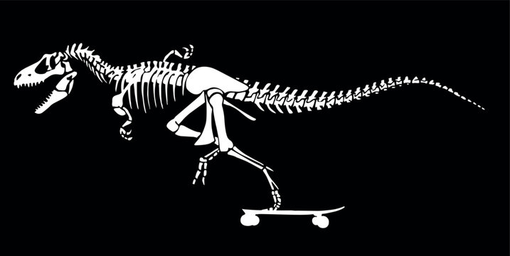 Vector illustration of skater dinosaur skeleton.