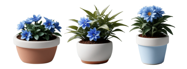 blue flowers in pot isolated on transparent background