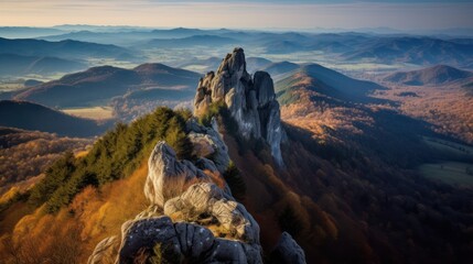 Vue de la Roche ecrite, Chestnuts forest in Upper Corsica mountain.