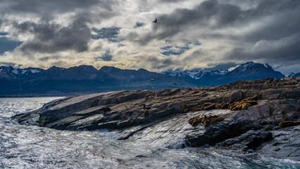 Fototapeta na wymiar Sea lions are resting on a small rocky island in the Beagle Channel. The waves of the turquoise ocean are beating against the cliffs. Cormorants fly. A mountain range of the Andes against a cloudy sky