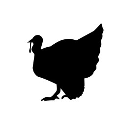 Turkey Bird Silhouette 