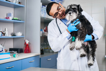 Veterinarian holding domestic dog in hands