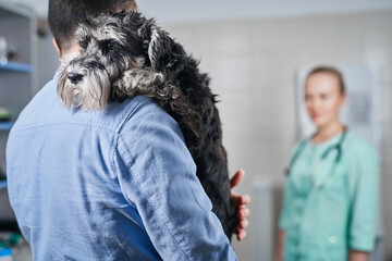Trustful domestic dog with his owner at the vet