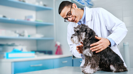 Veterinarian petting black terrier dog at the visit