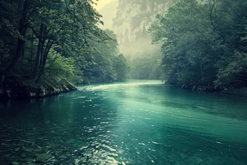 Foto op Canvas Landscape of mountain river flowing through the forest in the morning. © Christiankhs