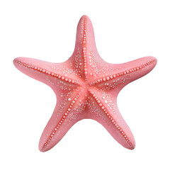 starfish isolated on white background