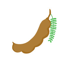 Tamarind Fruit With Green Leaves 