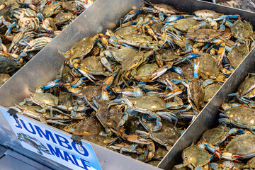 Pile of fresh blue crab in fish market at the Whaf, Washignton D.C.