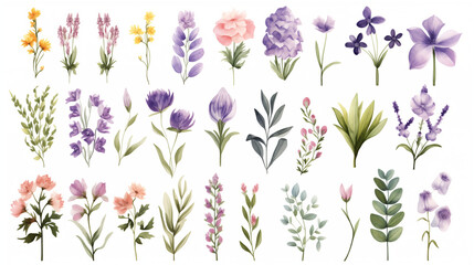 Set of Beautiful Hand Drawn Watercolor Clip Art Arrangements with Flowers, Wildflowers, Spring and Summer Floral, Leaves, Branches. Botanical Plant Illustration. Pastel Colors. - obrazy, fototapety, plakaty