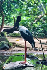 Port Douglas, Queensland, Australia