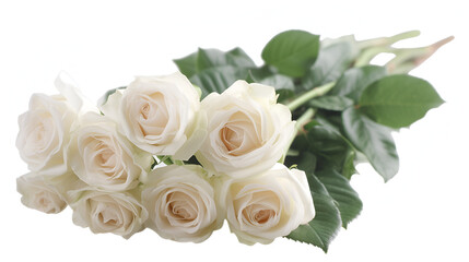 Bouquet of White Roses PNG File of Isolated Cutout Object - Generative AI

