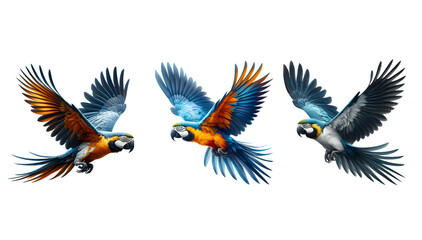 Obraz premium three Macau birds flying on a transparent background. icon set