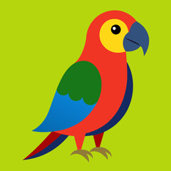 Perrot bird animal pet vector illustration cartoon pretty cute
