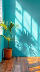 Türaufkleber Palme in einem turkis oder blauen Raum am Fenster wird angeläuchtet vielleicht als Hintergrundbild für ein Plakat © pegasus24.com