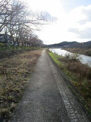 冬の川辺の風景