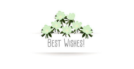Best Wishes! with pastel green flowers. Greeting card to say goodbye to employees or friends