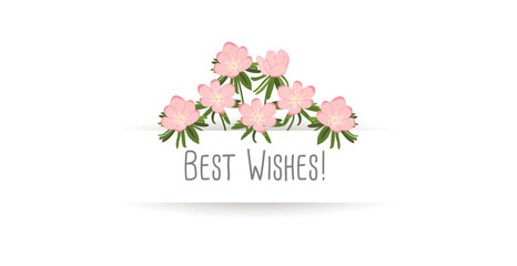 Best Wishes! with pastel pink flowers. Greeting card to say goodbye to employees or friends