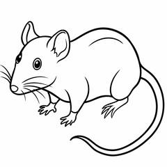 Fototapeta premium Rat animal pet vector illustration draw cartoon pretty cute 