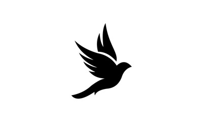 silhouette of dove