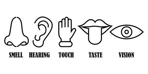 Five human senses icon set. Symbol of smell, hearing, touch, taste and vision.EPS 10