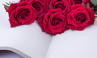 red rose and book