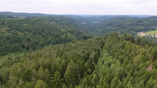 The forests of Epinal in France