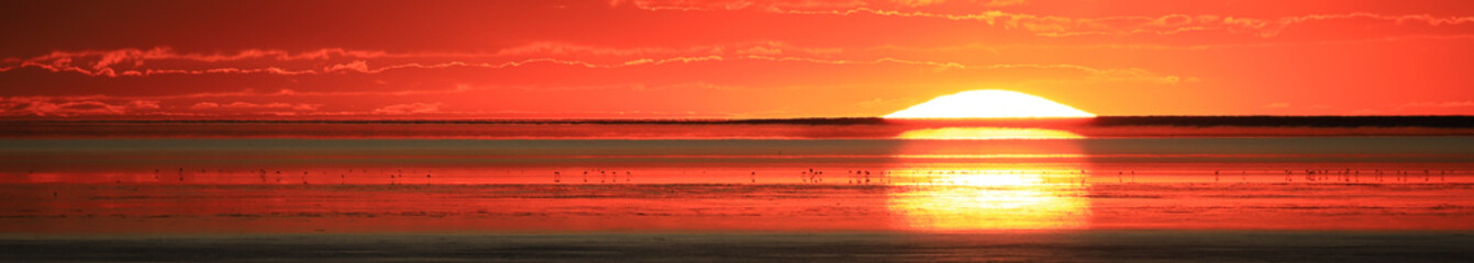 red setting sun in the dry and hot Etosha pan with flamingo birds at the horizon - obrazy, fototapety, plakaty