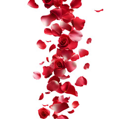 strip of scattered red rose petals, png file of isolated object on transparent background 