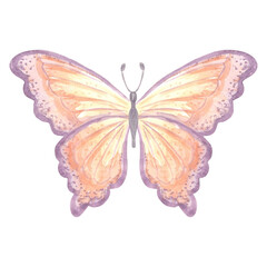Watercolor flying butterfly delicate peach fuzz color. Isolated hand drawn illustration spring exotic wild insect. Template drawing for card, packaging and tableware, textile and sticker, embroidery.