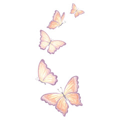Watercolor flying butterflies delicate peach fuzz color. Isolated hand drawn illustration spring exotic wild insect. Template drawing for card, packaging, tableware, textile and sticker, embroidery.