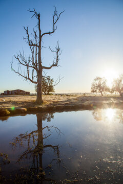 Double sunrise reflected in a farm dam