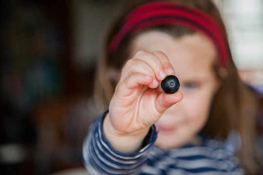 Child holding up single blueberry