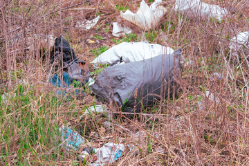 Rubbish lies on the ground in the park