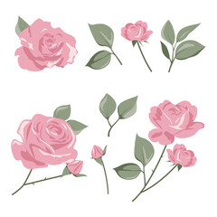 Fototapeta premium Pink rose clipart for graphic resources. Beautiful flower on isolated white background. Vector illustration. Design for wedding invitation, postcard. botanical painting