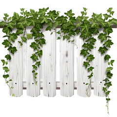 white wooden fence overgrown with weaving green ivy leaves, png file of isolated object on transparent background 