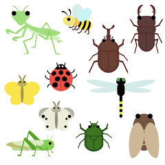 昆虫セット