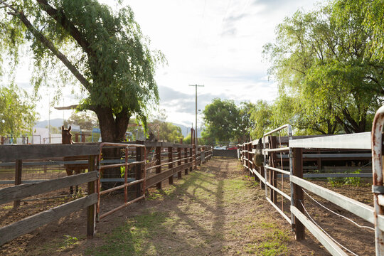 Fences at Murrurundi showground in afternoon light