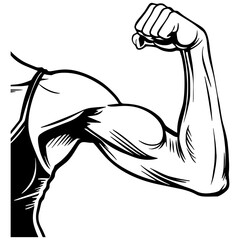 Muscle Arm Illustration.