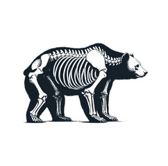 The standing bear and skeleton. Black white vector illustration.