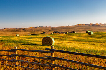 Hay bales in a fall harvested field. Rockyview County, Alberta, Canada