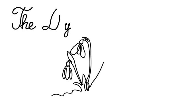 Self drawing animation with one continuous line draw, 
The Day of Snowdrop.Abstract spring snowdrops on snow 