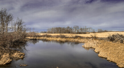 Ponds in the field Red Deer County Alberta Canada