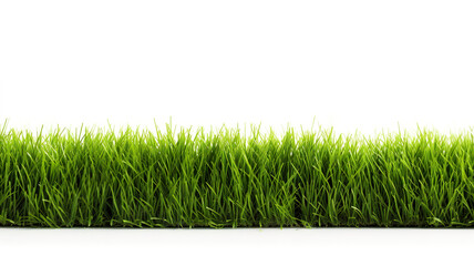 Isolated artificial grass soccer field background texture on a backdrop of pure white