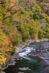北海道占冠村、色づき始めた秋の鵡川【10月】