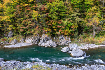 北海道占冠村、色づき始めた秋の鵡川【10月】